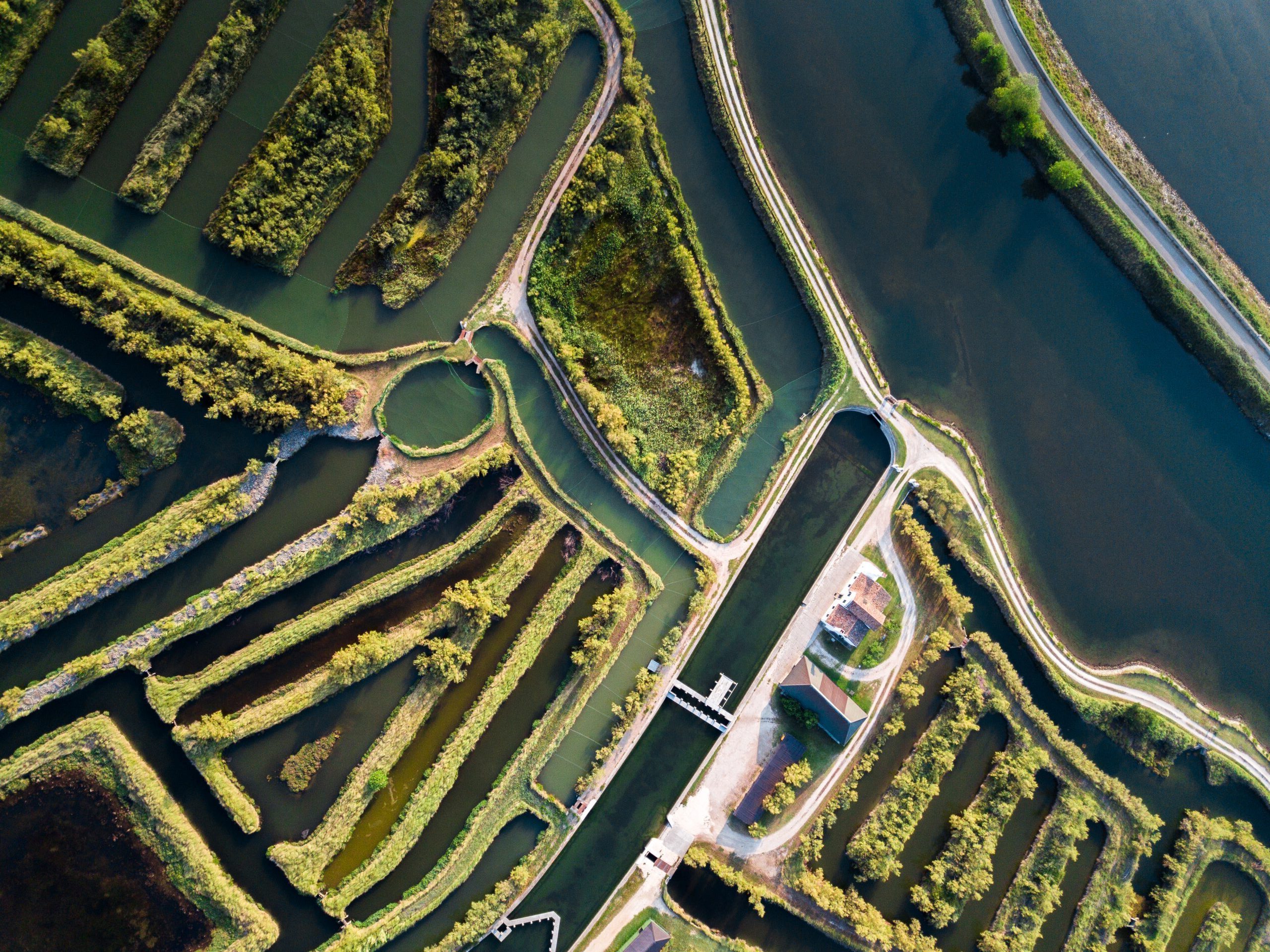 Po river's delta - Credits: visitdeltapo.it